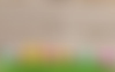 イースターの写真について