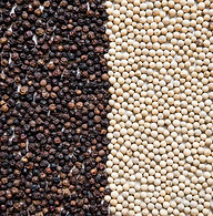 White-Pepper-vs-Black-Pepper-3.jpg