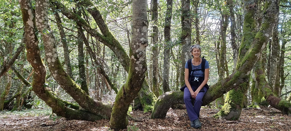 Conférence/Causerie