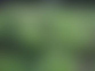 Prefeitura retoma programas de hortas escolares e comunitárias