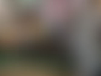 Receita Federal retém mais de 300 volumes de mercadorias importadas em estabelecimento comercial