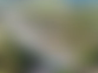 Auditores agropecuários vão intensificar mobilização após governo não atender pleito para reestruturação da carreira