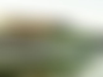 Natal a Bordo com bom custo benefício, requinte e diversão