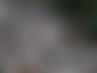 Código de Trânsito Brasileiro completa 25 anos com avanços