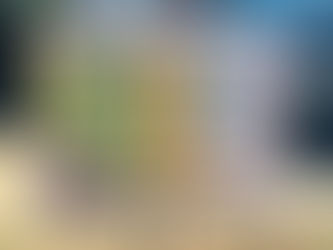 Vereadora Yasmin sugere placas de Comunicação Alternativa em parques e praças de Foz