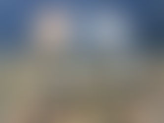 Polícia Federal apreende 265 kg de cocaína no Porto de Natal