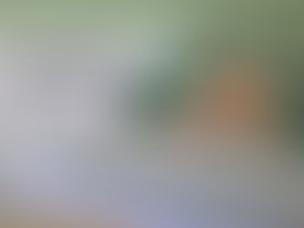 Mega-Sena sorteia nesta quarta-feira prêmio estimado em R$ 3 milhões