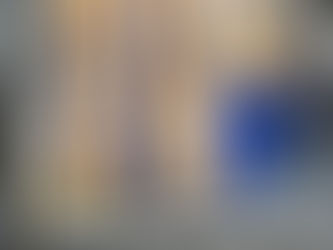 PF EFETUA PRISÃO DE PASSAGEIRO COM COCAÍNA EM FUNDO FALSO NO AEROPORTO INTERNACIONAL DE FOZ DO IGUAÇU