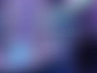 Governador apresenta Paraná à Câmara de Comércio e Indústria de Abu Dhabi