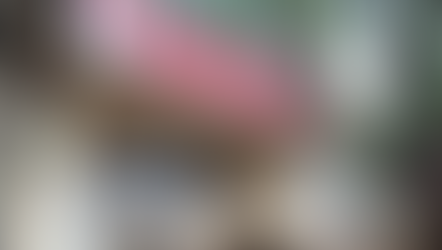 Centro de Nutrição Infantil fortalece rede de proteção em parceria com a Defensoria Pública