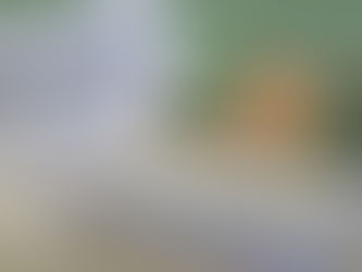 Mega-Sena sorteia nesta quarta-feira prêmio acumulado em R$ 35 milhões