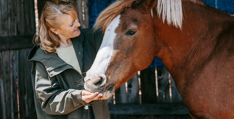 pexels-barbara-olsen-7883479.jpg