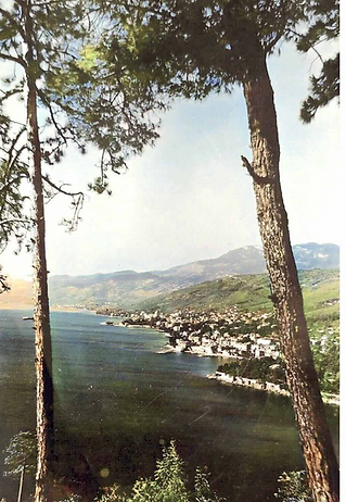 Panoramica Volosco rid_edited.png