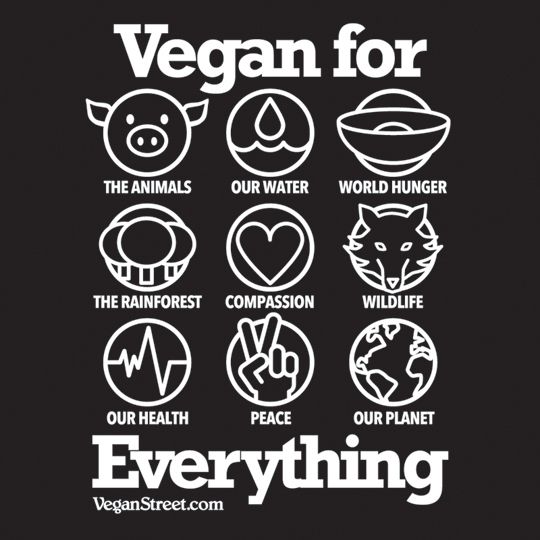 Image result for vegan quotes