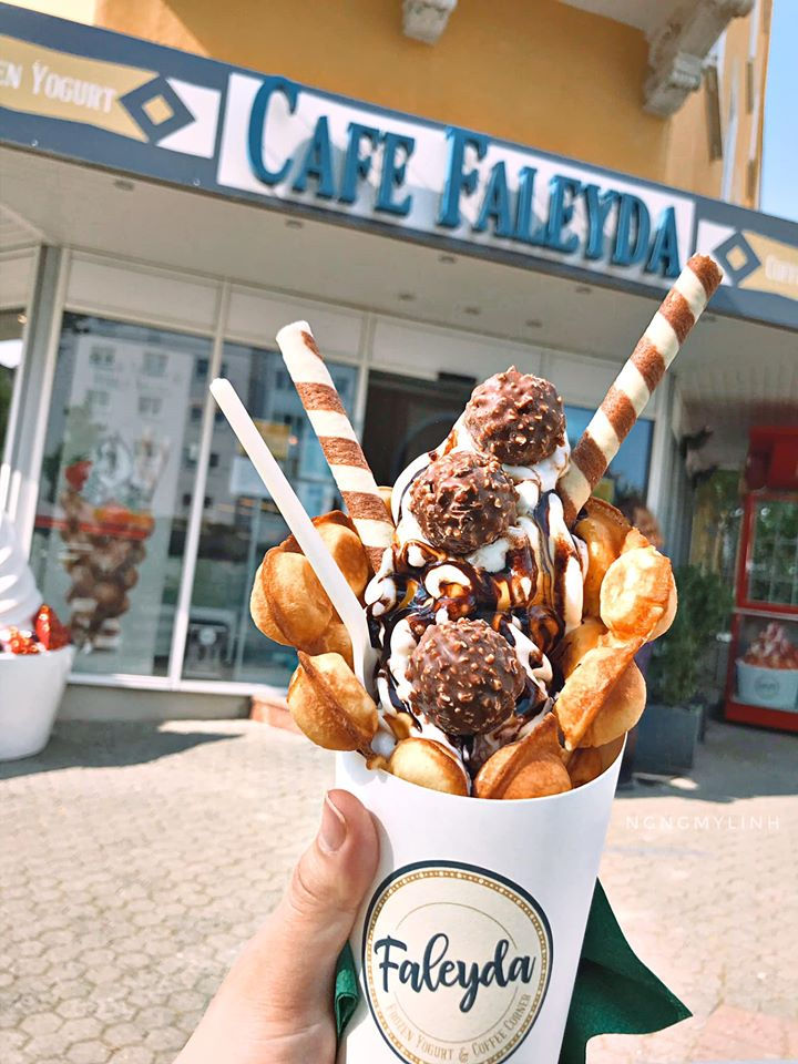Faleyda Frozen Yogurt & Bubble Waffel