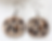 Leopard Pumpkin Earrings