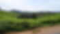DSC02740.JPG