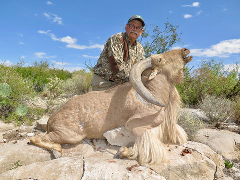 Hunter with his trophy Aoudad on rocky terrain