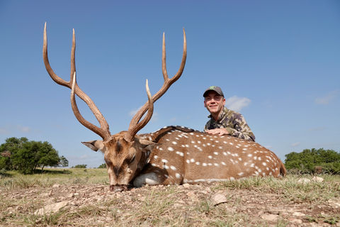 A man kneels next to a trophy Axis deer on a hilltop