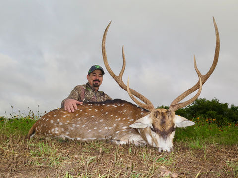 A hunter sits on the ground next to his trophy Axis deer