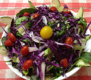 Close-up shot of a vegetable salad on a plate on a red and white chicked table cloth.