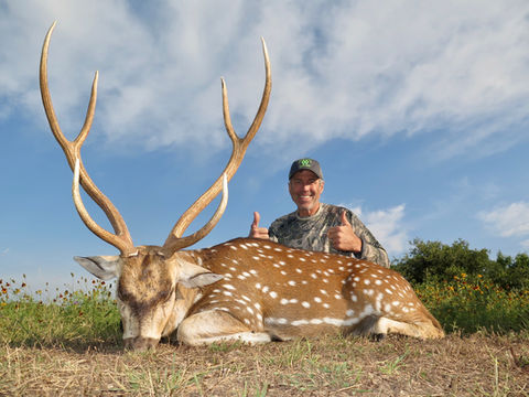 A smiling hunter kneeling next to his trophy Axis and giving two thumbs up
