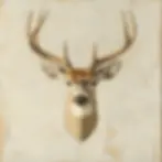 A painting of a mounted whitetail deer