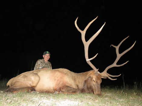 A hunter kneels next to a big trophy elk