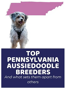 Screen Shot 2022-09-05 at 11.25.50 AM.png