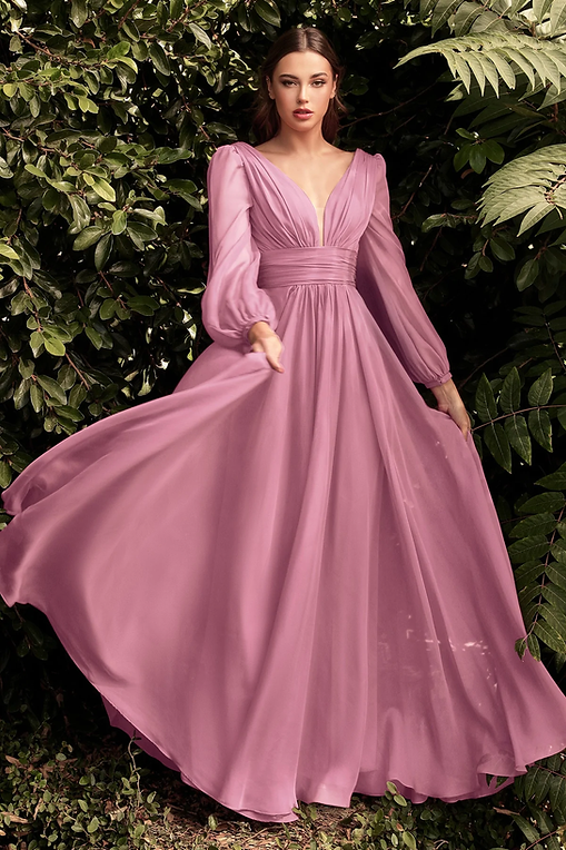 Long sleeve chiffon gown 2025
