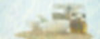 Herbal Remedies Setup_edited.jpg