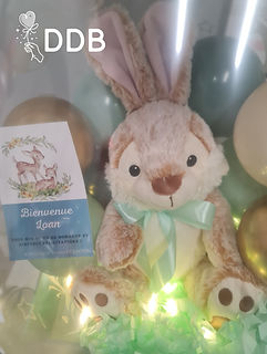 Ballon cadeau naissance