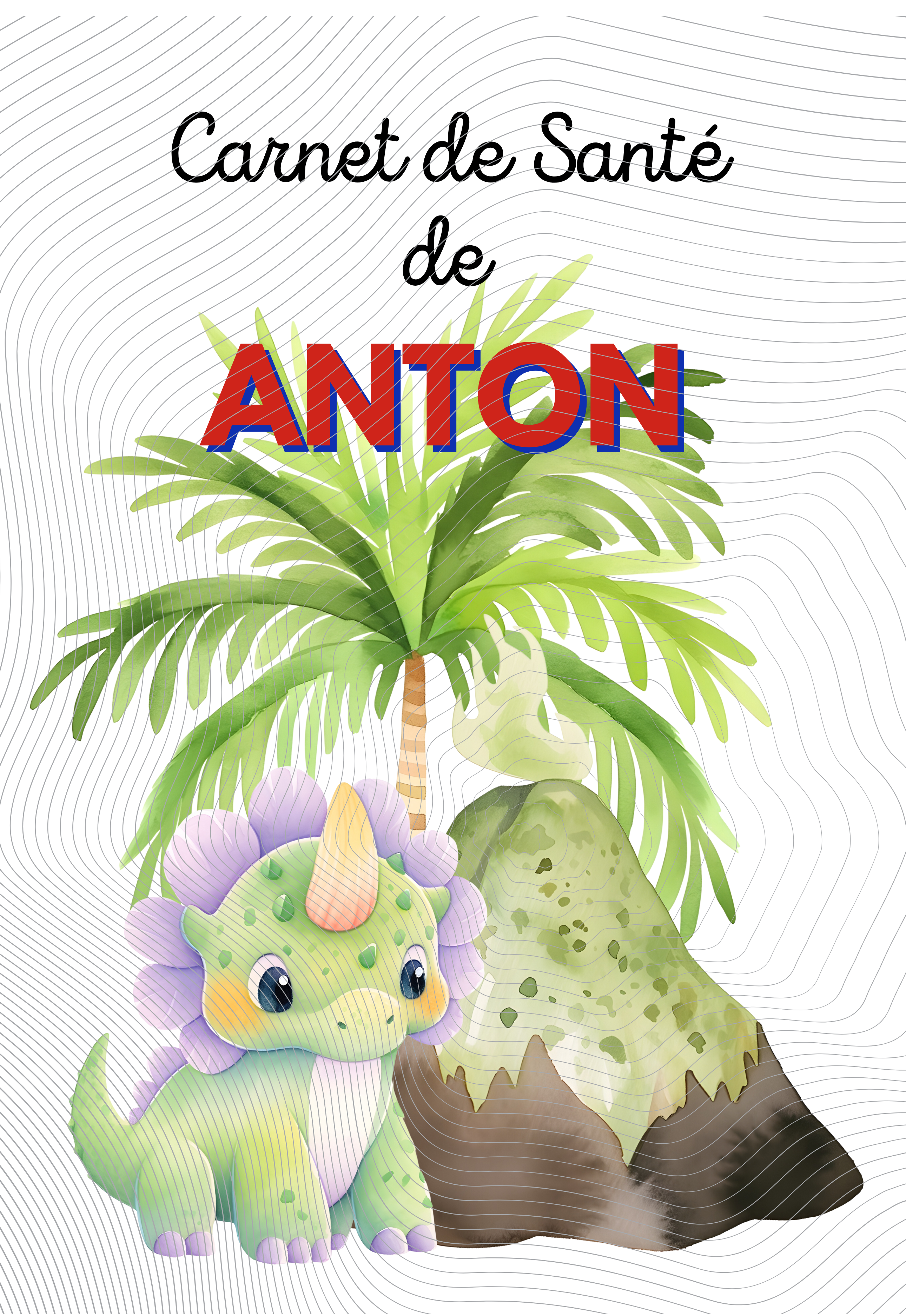 protège carnet de santé personnalisable prénom sur le thème dinosaure