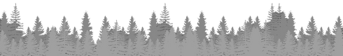 Land Clearing, Field Mowing, Driveway & Gravel Lot, Site Prep & Excavation, Land restoration, Debris Removal, Greater Willamette Valley. Polk, Yamhill, Marion, Lincoln, Washington, Clackamas, Benton, Linn, Tillamook, Multnomah, Lane counties