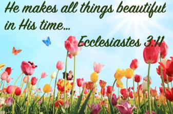 June 2026 Newsletter & Prayer Requests