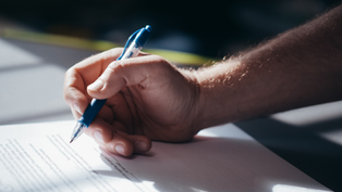Hand holding a blue pen, writing on a document with visible text. Sunlight casts shadows, creating a focused, calm atmosphere.
