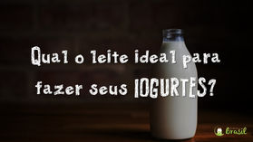Qual o leite ideal para fazer seus Iogurtes?