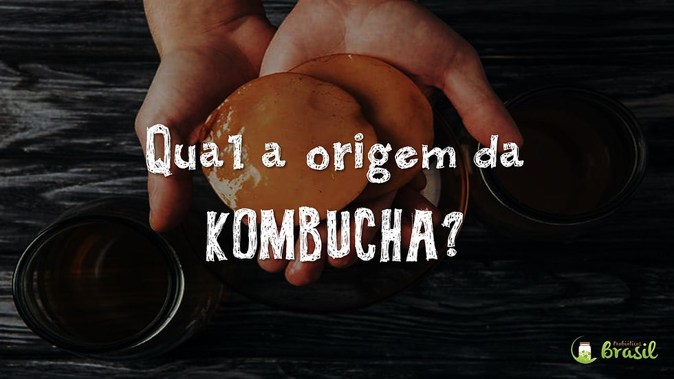 Qual a origem da Kombucha?