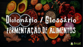 DicionĆ”rio / GlossĆ”rio de FermentaĆ§Ć£o de Alimentos