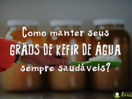 Como manter saudáveis seus Grãos de Kefir de Água?