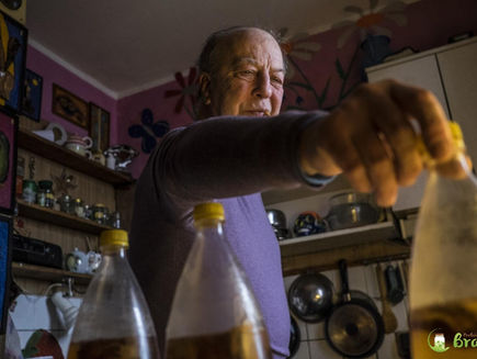 Os Benefícios da Kombucha para a Terceira Idade