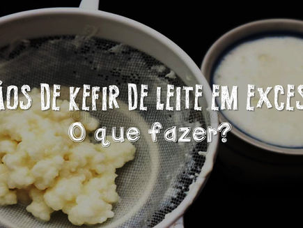 Grãos de Kefir de Leite em Excesso: O que fazer?