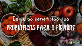 Quais os benefícios dos probióticos para o fígado?