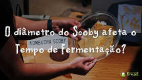 Como o diâmetro do Scoby afeta o Tempo de Fermentação