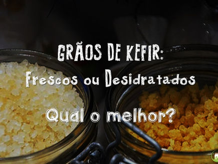 Grãos de Kefir: Frescos ou Desidratados. Qual o melhor?