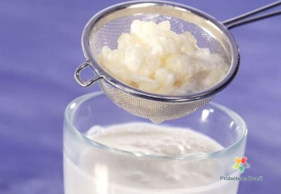 Kefir: Probiótico capaz de prevenir ou tratar o câncer?