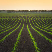 Farmwell