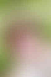 Family posing together at Brenton Arboretum in Dallace Center Iowa in front of a small pond