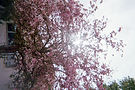 018_09.jpg