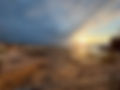 IMG_2933.jpeg